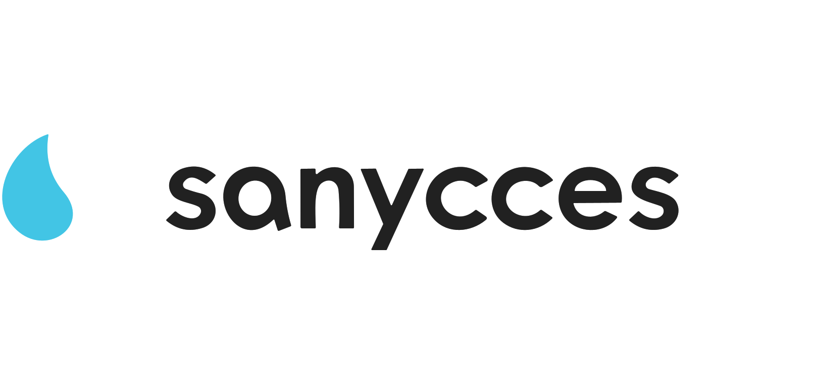 Sanycces